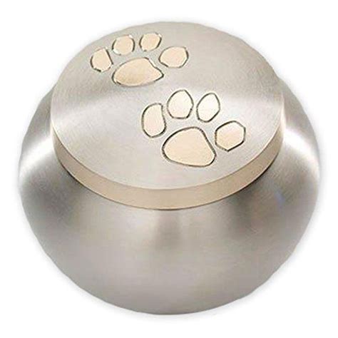 Beautiful Life Urns Pawsitively Cherished Pet Urn - Unique Cremation Urns for Pets, Large, Slate