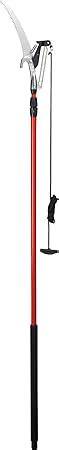 Free Shipping 🛒 Corona TP 6870 MAX RazorTOOTH DualCOMPOUND Action 14-ft. Tree Pruner